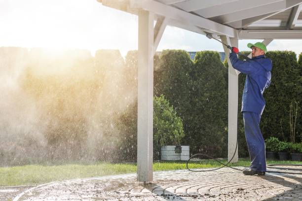Best Animal Enclosure Cleaning  in South San Francisco, CA